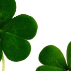 St Patircks Day